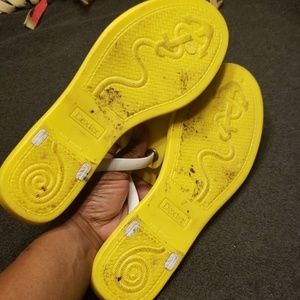 dexter flip flops